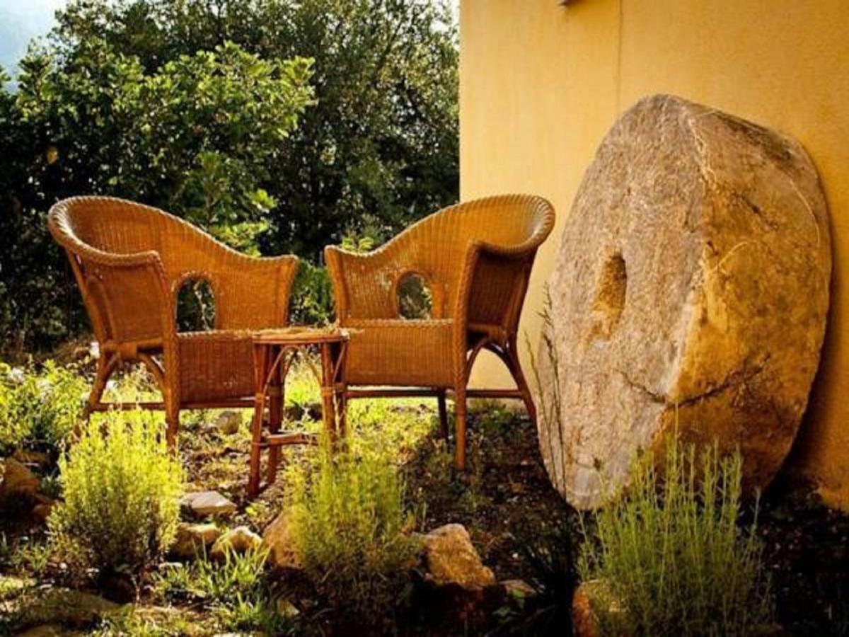 Il Giardino Di Julia B&B Tortora Ngoại thất bức ảnh