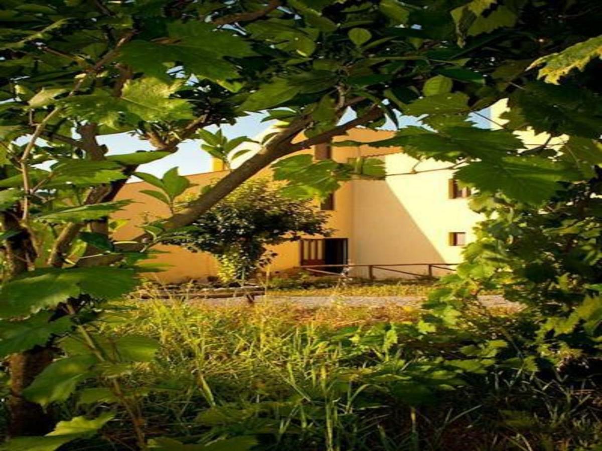 Il Giardino Di Julia B&B Tortora Ngoại thất bức ảnh